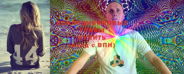 ГАЛЛЮЦИНОГЕННЫЕ ГРИБЫ Абдулино