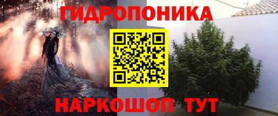 соль ск Лесосибирск