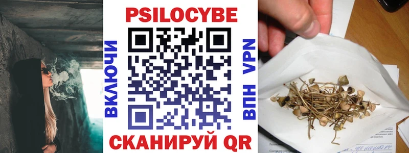 магазин продажи наркотиков Тюмень Галлюциногенные грибы Psilocybe