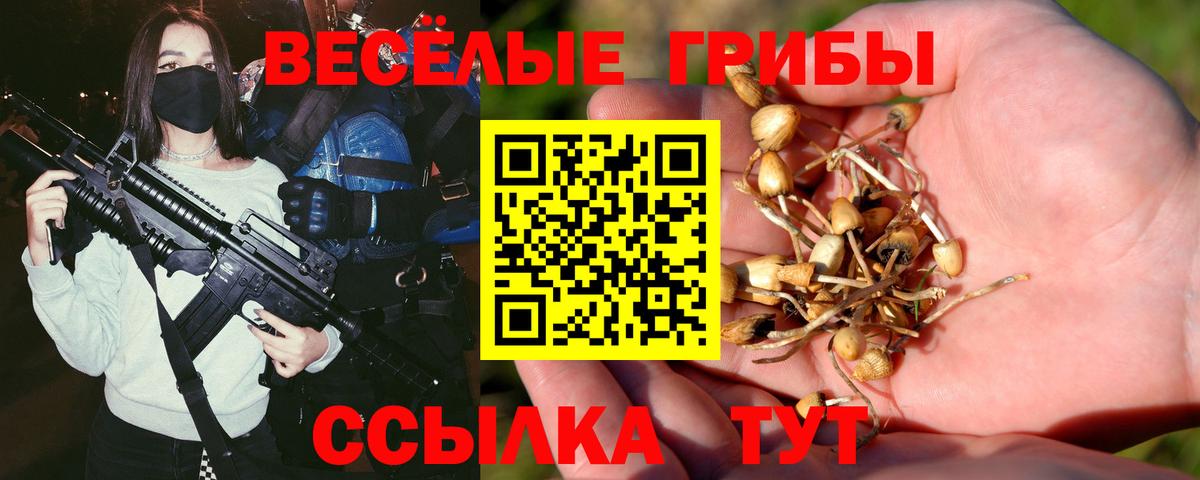 Тюмень  Галлюциногенные грибы мицелий  Вход с VPN 